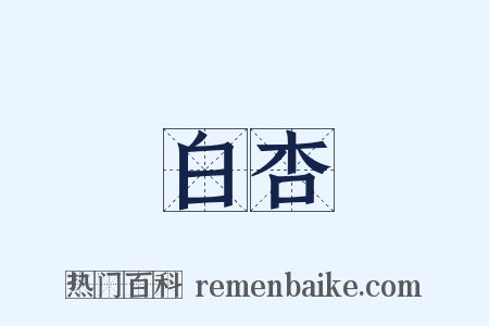 白杏是什么意思的图片